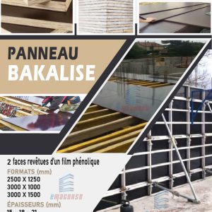 PANNEAU BAKALISE