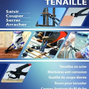 TENAILLE