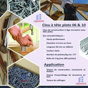 CLOU À TÊTE PLATE