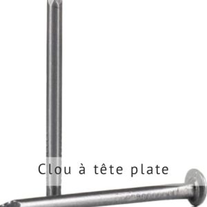 clou à tête plate