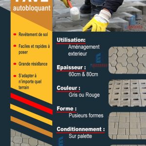 PAVÉ AUTOBLOQUANT