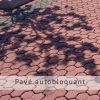 PAVÉ AUTOBLOQUANT