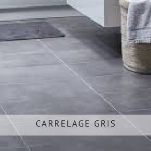 CARRELAGE GRIS