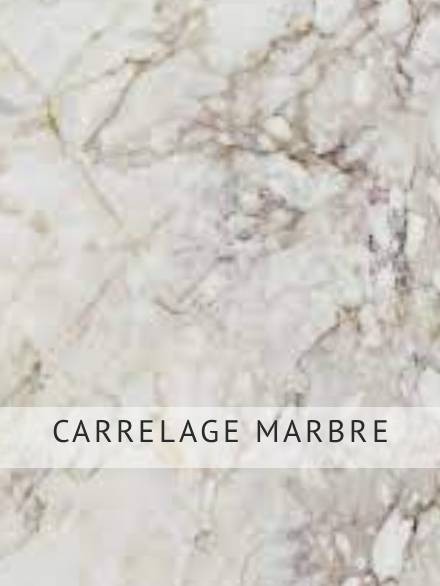 CARRELAGE MARBRE